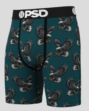 Fly Eagles Fly