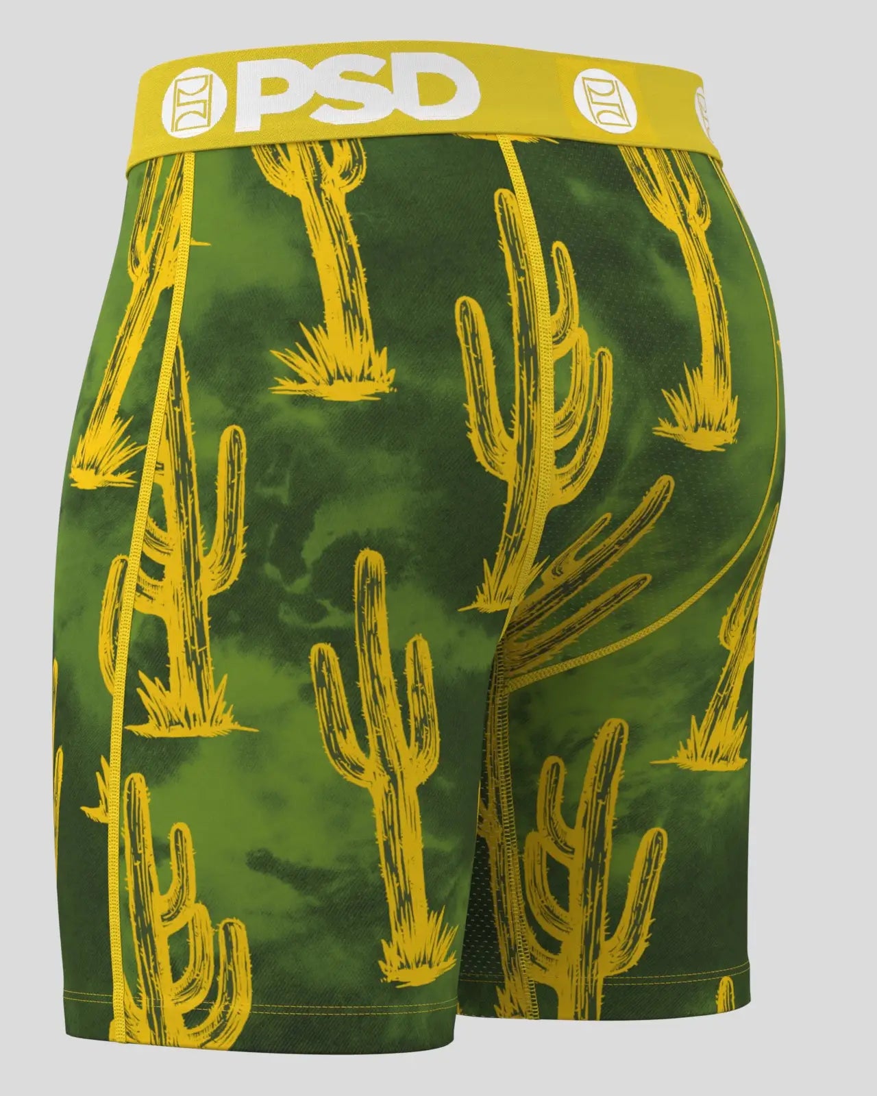 Cactus Heat - Image 3