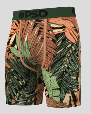 Untamed Tropics