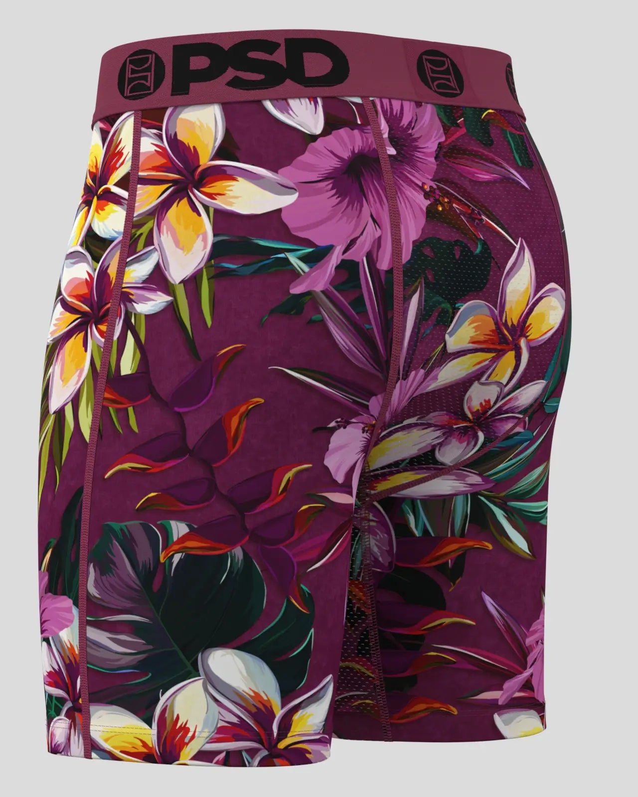 Plumeria - Image 3