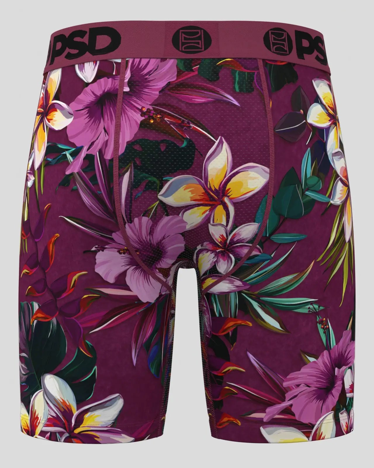Plumeria - Image 4